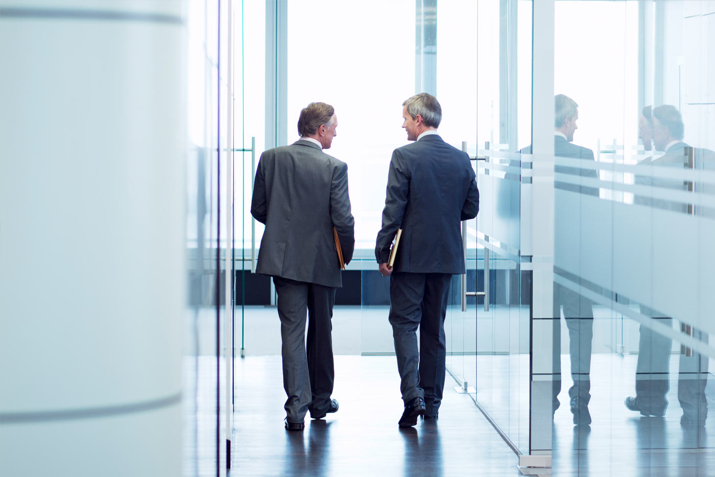 Strategic Company Acquisitions