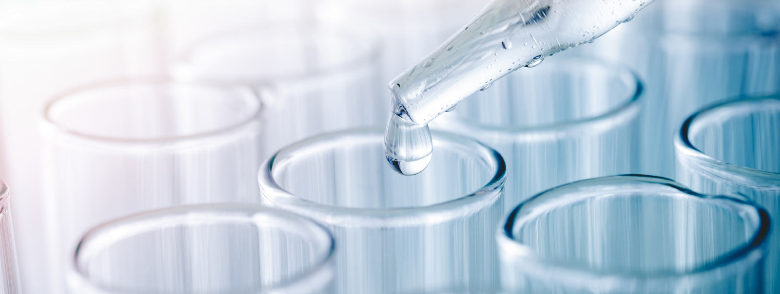 Specialty Chemicals